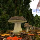 Thumb 526e99ca1f87a05550000001