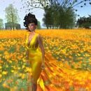 Thumb 5274f90960c56a286c000001