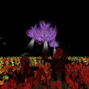 Thumb 5453e579f8a1ec230f000001