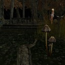 Thumb 545f729c8da5724876000001