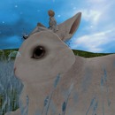 Thumb 54671ffd8da5725267000001