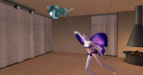 Web 51df96d60638596df4000001