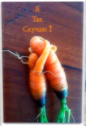 Web 51ea26d60765ee509a000001