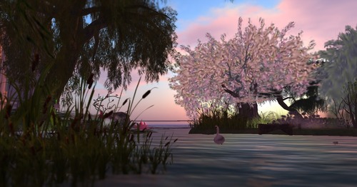 Web 51eaaa51cf3add5d76000001