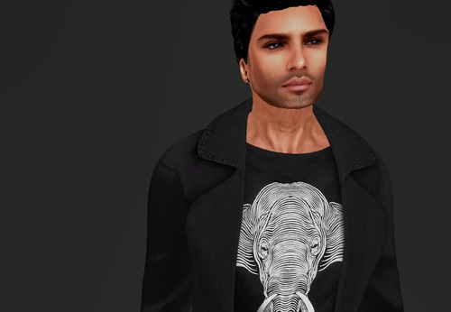 Web 56808c029934e05b26000001