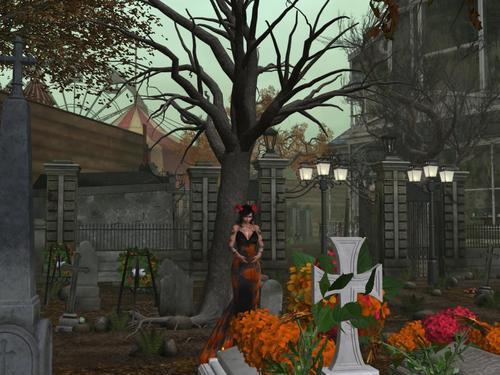 Web 5f8c992c73ed174458cda9e8