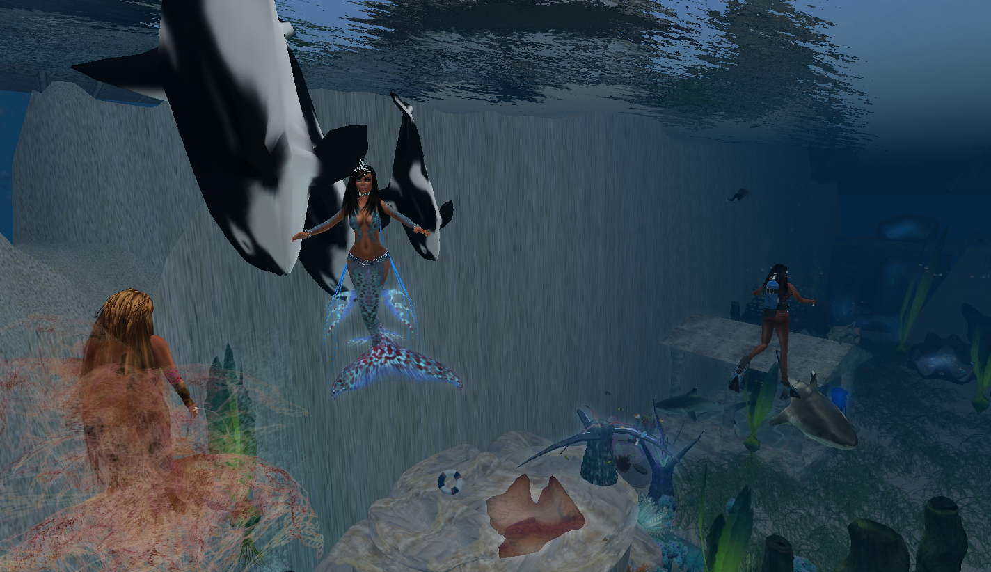 Original 52735135985d365ef0000001