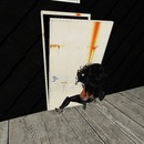 Thumb 526ba921e36e6b6c28000001