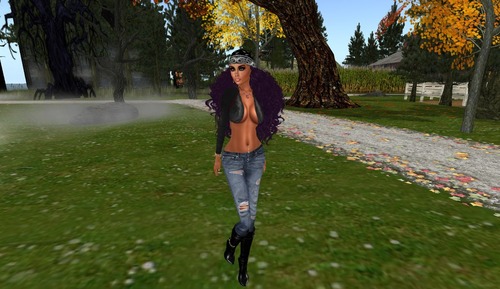 Web 526bcd74c48b5317fd000001