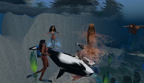 Web 52735124fcc83f5afa000001