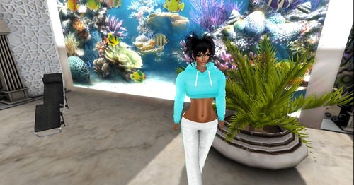 Web 553a676af8a1ec0967000001