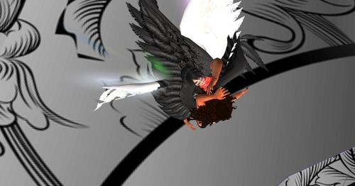 Web 5546b29a128cc951d7000001