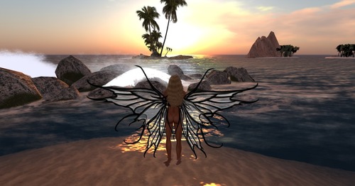 Web 581285a7b0154044a1000001