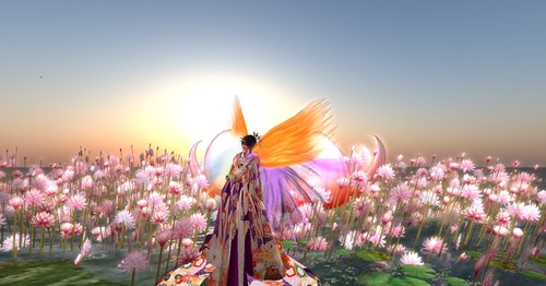 Web 589b6507b015405020000001