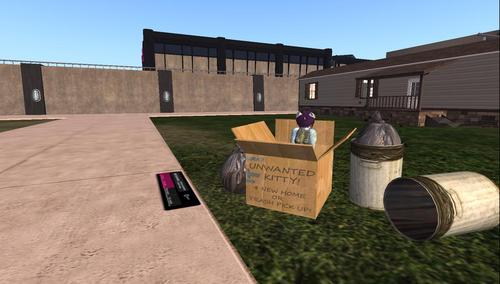 Web 5965673a289dd20e22000001