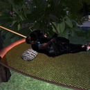 Thumb 51865cfb8644f64b86000001