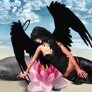 Thumb 5255c4d71ed5fc482a000001