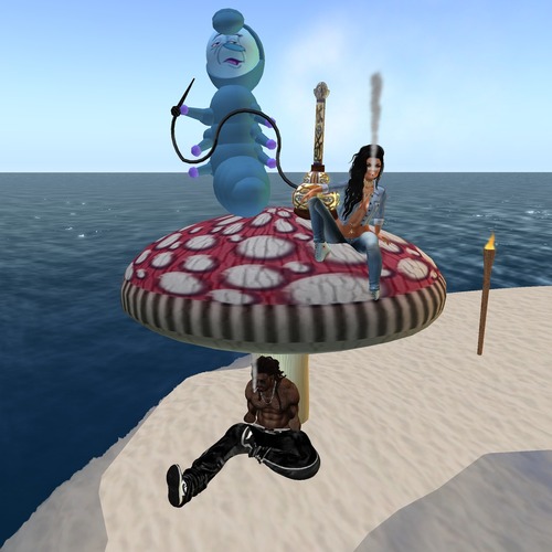 Web 563c6dfdf8a1ec20e9000001