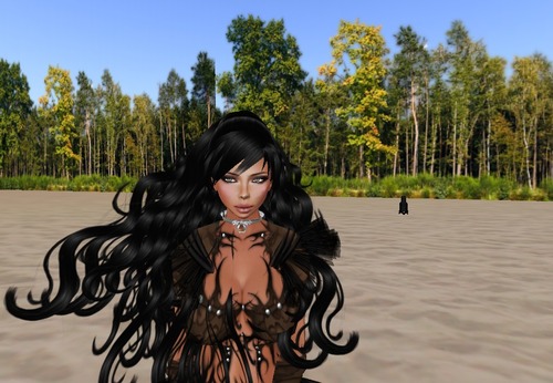 Web 517a89ce3246811036000001