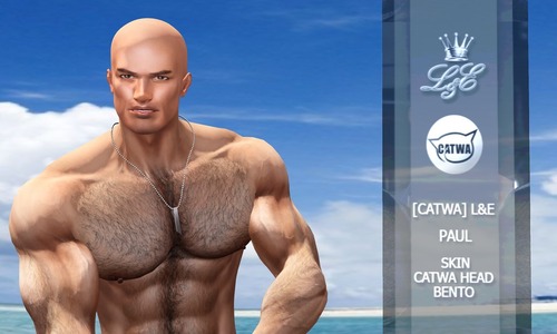 Web 588a595eb713f735ef000001