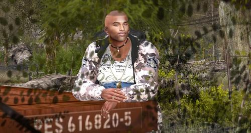 Web 5ac6079ed774f81333000001