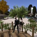 Thumb 620dadda5c23ae17129d52a3