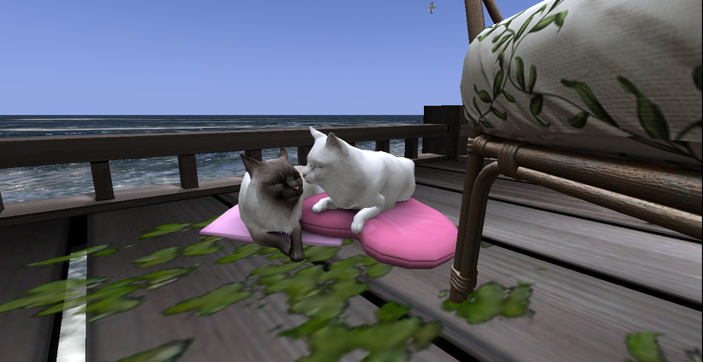 Original 6407f097c3f4360c7f92d406