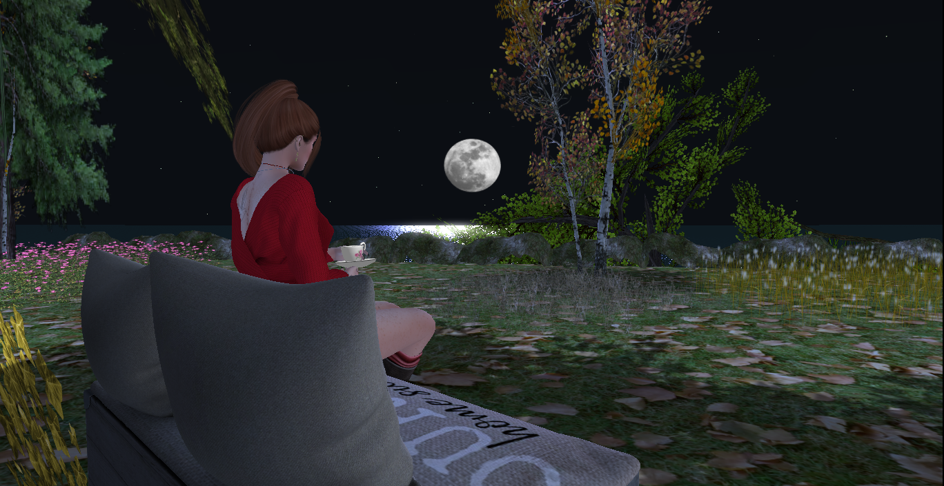 Original 656e21cafa7b276d3fd4871b