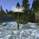 Thumb 61f9e14d771d3b4ff43d904f