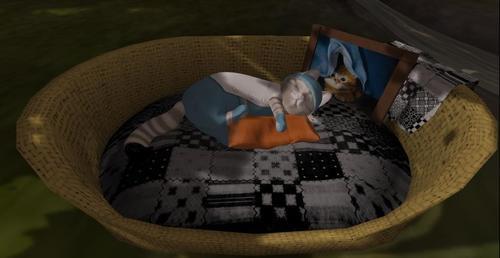 Web 6247ca544859ac131559ab7b