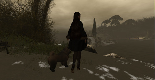 Web 63c079aacefbcd02bb0dca6e