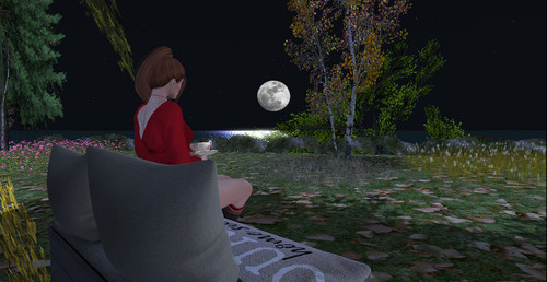 Web 656e21cafa7b276d3fd4871b