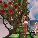 Thumb 63028867b1aa1749b9e3363c