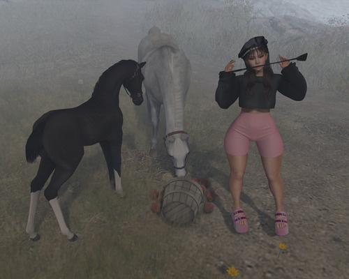 Web 64d96186cff26302ec6857bf