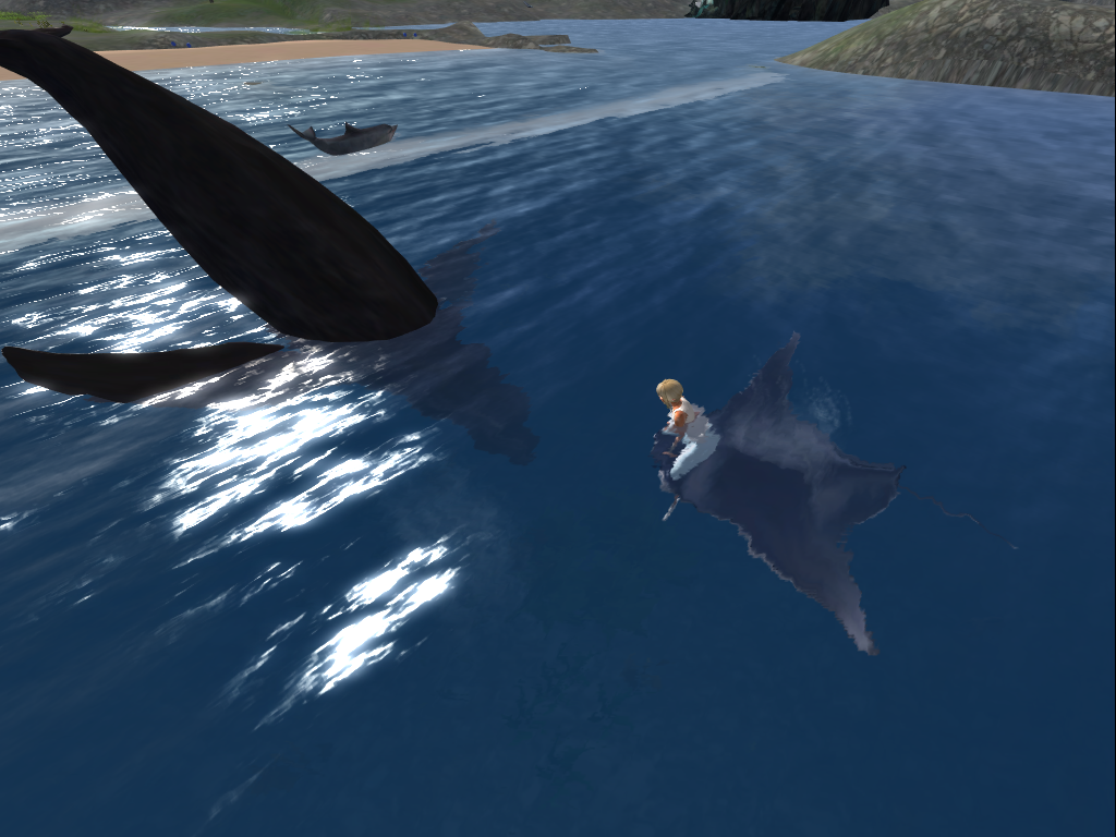 Original 5d9b8a85d774f86430000001