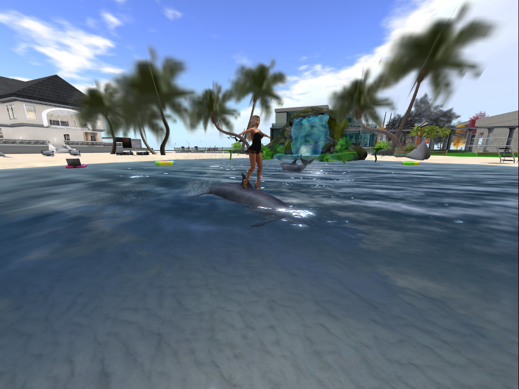 Original 5da1df16289dd20d8e000001