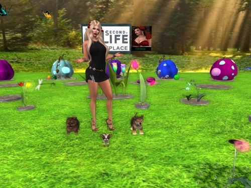 Web 58716206e85cda2548000001