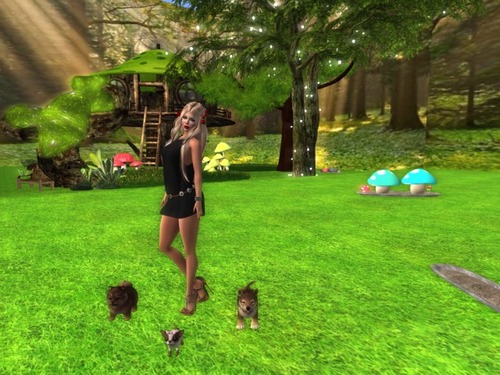 Web 5871628be85cda2920000001