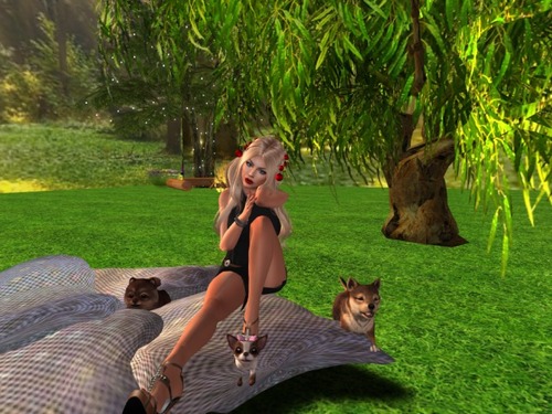 Web 5871678cf8a1ec09d6000001