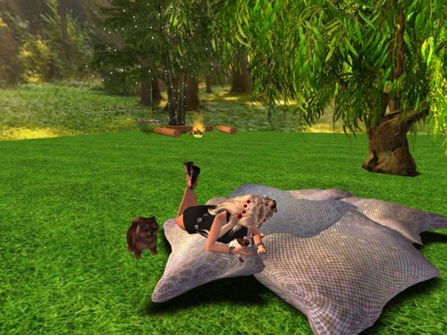 Web 587167cde85cda4ba5000001