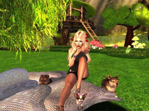 Web 5871685be85cda4e29000001