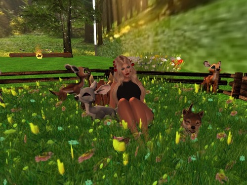 Web 58716953e85cda5d99000001