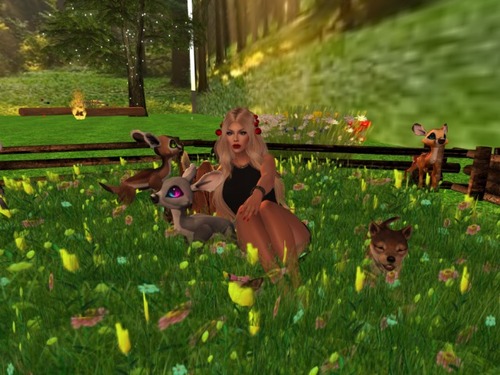 Web 58716b12e85cda67d6000001