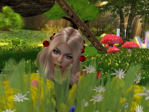 Web 58717792b713f7320d000001