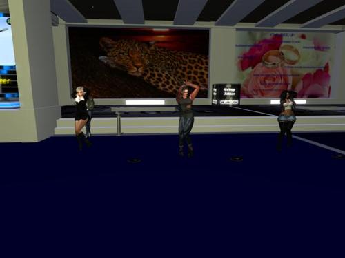 Web 5c55e956d9859c26dd000001