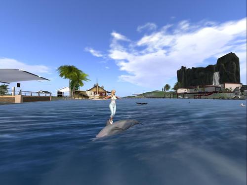 Web 5d9b894ad774f85e8b000001