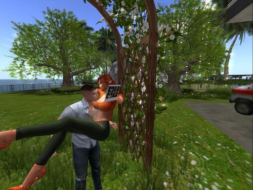 Web 5da0eb31d9859c4978000001