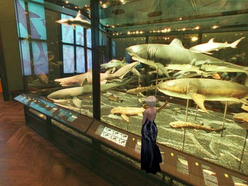 Web 567d69bc3f942f307f000001