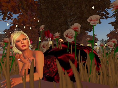 Web 5687904ff8a1ec472f000001