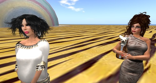 Web 521224e435287358e0000001